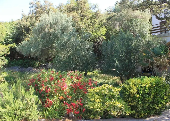 By The Sea Cove Merascica, Cres - 8071 Appartement *